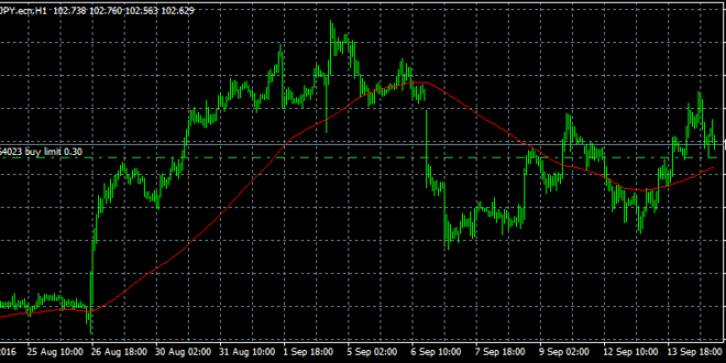 Forex rrsp