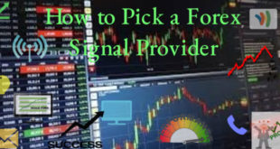 How to Pick a Forex Signal Provider