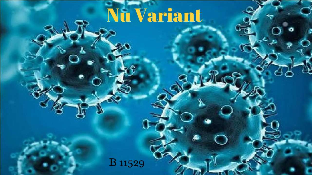 Nu Variant B11529