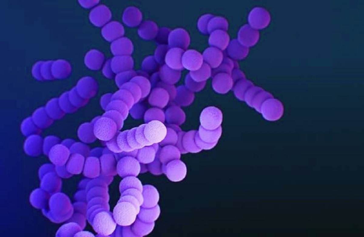 στρεπτόκοκκος